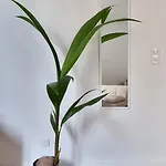 La Savane De - 4 Min Gare Appartement Vichy