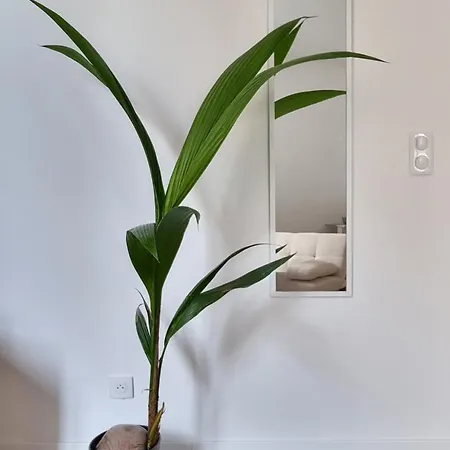 La Savane De - 4 Min Gare Apartment Vichy
